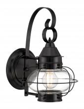  1323-BL-CL - Cottage Onion Outdoor Wall Light - Black with Clear Glass