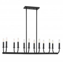 Crystorama BAI-A2112-MK - Bailey 12 Light Matte Black Linear Chandelier