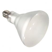 Halogen Bulbs