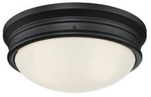  6324100 - 13 in. 2 Light Flush Matte Black Finish Frosted Glass