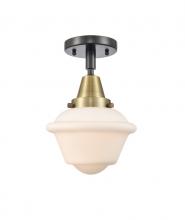  447-1C-BAB-G531-LED - Oxford - 1 Light - 8 inch - Black Antique Brass - Flush Mount