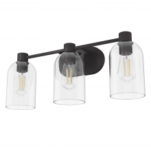  19712 - Hunter Lochemeade Noble Bronze with Clear Seeded Glass 3 Light Bathroom Vanity Wall Light Fixture