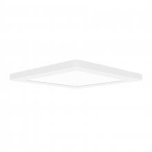 Access 20840LEDD-WH/ACR - Dual Voltage LED Flush Mount