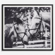  41465 - Apple Of My Eye Framed Print