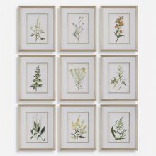  32339 - Uttermost Botanical Flowers Framed Prints, S/9