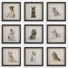  32344 - Loyal Companion Framed Dog Prints, S/9