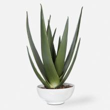  60177 - Evarado Aloe Planter