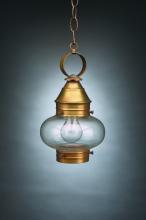  2022-AC-MED-CSG - Onion Hanging No Cage Antique Copper Medium Base Socket Clear Seedy Glass